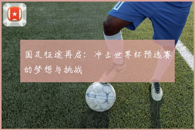 国足征途再启：冲击世界杯预选赛的梦想与挑战
