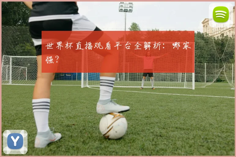世界杯直播观看平台全解析:哪家强?