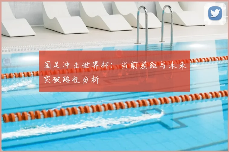 国足冲击世界杯：当前差距与未来突破路径分析