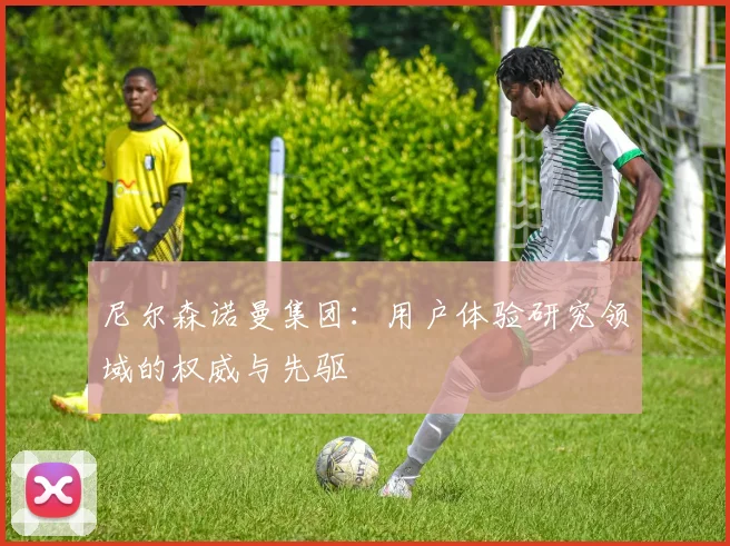 尼尔森诺曼集团：用户体验研究领域的权威与先驱