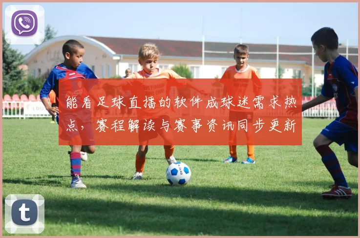 能看足球直播的软件成球迷需求热点,赛程解读与赛事资讯同步更新