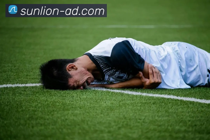 米乐易游官方网站平台生态图